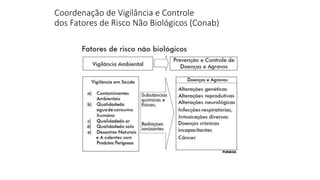 Coordenação de Vigilância e Controle
dos Fatores de Risco Não Biológicos (Conab)
 
