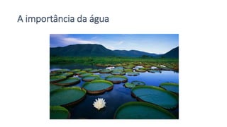 A importância da água
 