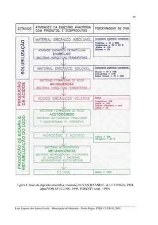60

Figura 8: fases da digestão anaeróbia. (baseado em VAN HAANDEL & LETTINGA, 1994,
apud VON SPERLING, 1996; FORESTI et al., 1999).

__________________________________________________________________________________________
Luiz Augusto dos Santos Ercole – Dissertação de Mestrado – Porto Alegre: PPGEC/UFRGS, 2003

 