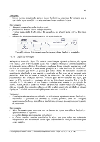 80

Vantagens:
- São as mesmas relacionadas para as lagoas facultativas, acrescidas da vantagem que a
associação lagoa anaeróbia com a facultativa reduz os requisitos de área;
Desvantagens:
- São as mesmas das lagoas facultativas, mais:
- possibilidade de maus odores na lagoa aneróbia;
- eventual necessidade de elevatórias de recirculação do efluente para controle dos maus
odores;
- necessidade de um afastamento razoável das zonas habitadas.

Figura 21: sistema de tratamento com lagoas anaeróbia e facultativa associadas.
7.3.4.3 - Lagoas de maturação
As lagoas de maturação (figura 22), também conhecidas por lagoas de polimento, são lagoas
com cerca de l,0 m de profundidade, usadas para receber os efluentes de sistemas secundários
de tratamento, com o objetivo de melhorar a qualidade destes, podendo alcançar um nível
terciário de tratamento, se a remoção dos patogênicos e a dos nutrientes for satisfatória.
Como o efluente que recebe já passou por outras etapas de tratamento, encontra-se
parcialmente clarificado, o que permite a penetração da luz solar até as camadas mais
profundas. Com isto se obtêm a elevação da temperatura, da radiação ultravioleta e a
predominância das condições aeróbias, causadas pelo desenvolvimento das algas, que
removem CO2, nutrientes e produzem, através da fotossíntese aumentos dos níveis de
saturação de O2, elevando o pH que favorece a volatização da amônia e a precipitação do
fosfato. Assim, criam-se condições bastante adversas para a sobrevivência dos patogênicos,
além da remoção dos nutrientes solúveis, devido a relativamente alta atividade de síntese
algológica. O nível de tratamento atingido por este sistema é o terciário.
Vantagens:
- Estas lagoas são normalmente utilizadas em série com as lagoas anaeróbias e facultativas,
melhorando a qualidade dos afluentes do sistema, podendo, além das vantagens
apresentadas pelas lagoas anaeróbias e facultativas associadas, alcançar um nível terciário
de tratamento.
Desvantagens:
- Além das desvantagens apontadas para os sistemas de lagoas anaeróbias e facultativas,
apresentam mais as seguintes:
- necessitam de áreas extensas para a implantação;
- o efluente contêm elevadas quantidades de algas, que pode exigir um tratamento
complementar para as remoções destas algas, dependendo das restrições oferecidas pelo
corpo receptor.

__________________________________________________________________________________________
Luiz Augusto dos Santos Ercole – Dissertação de Mestrado – Porto Alegre: PPGEC/UFRGS, 2003

 