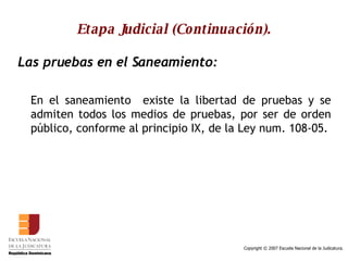 Etapa Judicial (Continuación). Las pruebas en el Saneamiento:   En el saneamiento  existe la libertad de pruebas y se admiten todos los medios de pruebas, por ser de orden público, conforme al principio IX, de la Ley num. 108-05. 