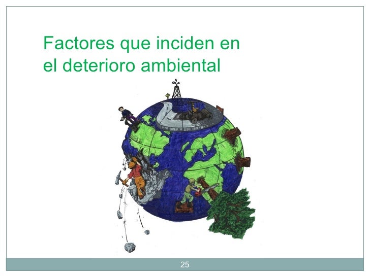 Factores ambientales en las plantas pdf