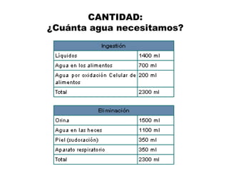 CANTIDAD:
¿Cuánta agua necesitamos?
 