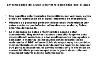 Enfermedades de origen vectorial relacionadas con el agua



•    Son aquellas enfermedades transmitidas por vectores, cuyos
     ciclos se reproducen en el agua (criaderos de mosquitos).
•    Millones de personas padecen infecciones transmitidas por
     estos vectores que infectan al hombre con malaria, fiebre
     amarilla, dengue,etc.
•    La incidencia de estas enfermedades parece estar
     aumentando. Hay muchas razones para ello: la gente está
     desarrollando resistencia a los medicamentos que ayudan a
     combatir la malaria; los mosquitos están desarrollando
     resistencia al DDT, el insecticida de mayor uso; los cambios
     medioambientales están creando nuevos lugares de cría; por
     otra parte la migración, el cambio climático y la creación de
     nuevos hábitats provocan que menos gente desarrolle una
     inmunidad natural a estas enfermedades.
 