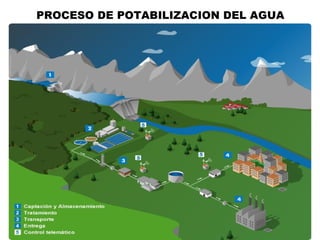 PROCESO DE POTABILIZACION DEL AGUA
 