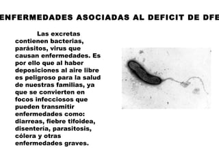 ENFERMEDADES ASOCIADAS AL DEFICIT DE DFE

         Las excretas
  contienen bacterias,
  parásitos, virus que
  causan enfermedades. Es
  por ello que al haber
  deposiciones al aire libre
  es peligroso para la salud
  de nuestras familias, ya
  que se convierten en
  focos infecciosos que
  pueden transmitir
  enfermedades como:
  diarreas, fiebre tifoidea,
  disentería, parasitosis,
  cólera y otras
  enfermedades graves.
 