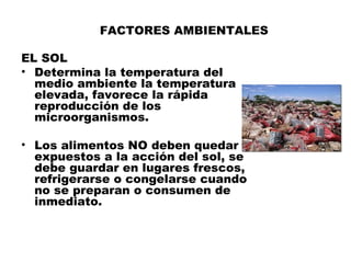 FACTORES AMBIENTALES

EL SOL
• Determina la temperatura del
  medio ambiente la temperatura
  elevada, favorece la rápida
  reproducción de los
  microorganismos.

• Los alimentos NO deben quedar
  expuestos a la acción del sol, se
  debe guardar en lugares frescos,
  refrigerarse o congelarse cuando
  no se preparan o consumen de
  inmediato.
 