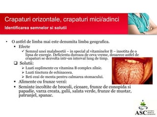 Crapaturi orizontale, crapaturi mici/adinci
Identificarea semnelor si solutii
•

O astfel de limba mai este denumita limba geografica.
 Efecte
 Semnul unei malabsortii – in special al vitaminelor B – insotita de o
lipsa de energie. Deficienta dureaza de ceva vreme, deoarece astfel de
crapaturi se dezvolta intr-un interval lung de timp.

 Solutii:
 Luati suplimente cu vitamina B complex zilnic.
 Luati tinctura de echinaceea.
 Beti ceai de menta pentru calmarea stomacului.

 Alimente cu frunze verzi:
 Seminte incoltite de brocoli, cicoare, frunze de conopida si
papadie, varza creata, gulii, salata verde, frunze de mustar,
patrunjel, spanac.

 
