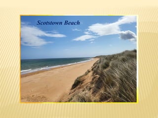 Scotstown Beach
 