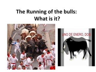 The Running of the bulls:
What is it?
 