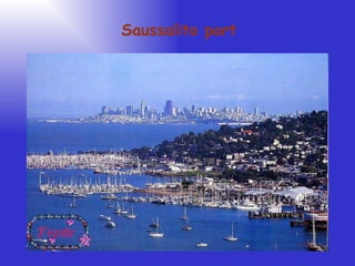 Yvette Saussalito port 