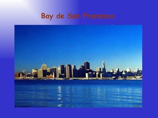 Bay de San Fransisco Yvette 