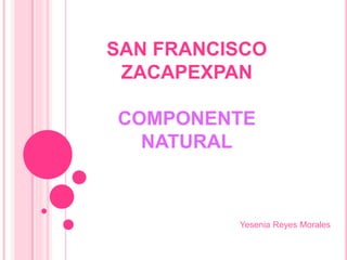 SAN FRANCISCO
ZACAPEXPAN
COMPONENTE
NATURAL
Yesenia Reyes Morales
 