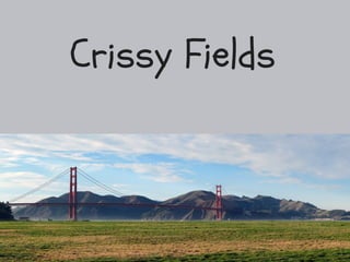 San Francisco with Kids