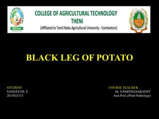 BLACK LEG OF POTATO
STUDENT COURSE TEACHER
SANGEETH .P Dr. S.PARTHASARATHY
2015021113 Asst.Prof.,(Plant Pathology)
 