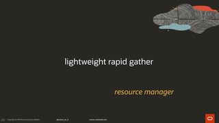 235
lightweight rapid gather
resource manager
 