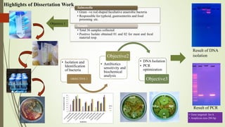 Highlights of Dissertation Work
• Isolation and
Identification
of bacteria
OBJECTIVE 1
• Antibiotics
sensitivity and
biochemical
analysis
Objective2
• DNA Isolation
• PCR
optimization
Objective3
AMP
T
S
P
AMC
CIP
RIF
TR
Result of DNA
isolation
Result of PCR
• Gram –ve rod shaped facultative anaerobic bacteria
• Responsible for typhoid, gastroenteritis and food
poisoning etc.
Salmonella
• Total 36 samples collected
• Positive Isolate obtained 01 and 02 for meat and fecal
material resp.
Sample
• Gene targeted- InvA
• Amplicon size-284 bp
Objective 1
 