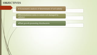 OBJECTIVES
 Econometric analysis of determinants of soil salinity
Bioremediation (aims to restore soil damaged by
salinity)
Plant growth promoting rhizobacteria
 