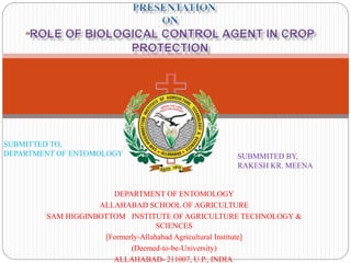 DEPARTMENT OF ENTOMOLOGY
ALLAHABAD SCHOOL OF AGRICULTURE
SAM HIGGINBOTTOM INSTITUTE OF AGRICULTURE TECHNOLOGY &
SCIENCES
[Formerly-Allahabad Agricultural Institute]
(Deemed-to-be-University)
ALLAHABAD- 211007, U.P., INDIA
SUBMMITED BY,
RAKESH KR. MEENA
SUBMITTED TO,
DEPARTMENT OF ENTOMOLOGY
 