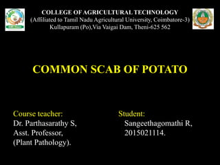 COLLEGE OF AGRICULTURAL TECHNOLOGY
(Affiliated to Tamil Nadu Agricultural University, Coimbatore-3)
Kullapuram (Po),Via Vaigai Dam, Theni-625 562
COMMON SCAB OF POTATO
Course teacher: Student:
Dr. Parthasarathy S, Sangeethagomathi R,
Asst. Professor, 2015021114.
(Plant Pathology).
 