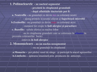 1. Polinuclearele - au nucleul segmentat
                    - prezintă în citoplasmă granulaţii
                    - după afinităţile tinctoriale pot fi:
 a. Neutrofile - au granulaţii ce devin roz cu coloranţi neutri
             - ajung primele la ţesutul afectat şi fagocitează microbii
 b.Eozinofile: -au granulaţii ce devin roşii cu coloranţi acizi
             -numarul lor creşte în boli alergice şi parazitare
 c. Bazofile: -celule sferice cu nucleu lobat
            -au in citoplasma granulatii care se coloreaza în albastru în
  prezenta colorantilor bazici
          -intervin în boli alergice
2. Mononucleare – au un nucleu nesegmentat
                    - nu au granulaţii în citoplasmă
  a.Monocite - pot părăsi vasul de sânge şi participă la atacul agresorilor.
  b.Limfocite - apărarea imunitară prin producere de anticorpi.
 