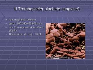 III.Trombocitele( plachete sangvine)

- sunt rragmente celulare
- aprox. 200.000-400.000/ mm3
- au rol în coagularea şi închiderea
  plăgilor
- Durata medie de viaţă : 10 zile
 