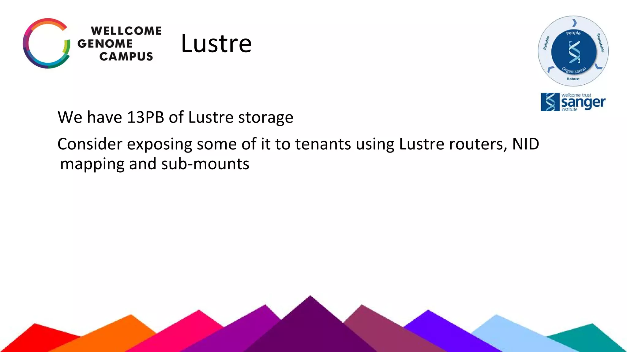 Lustre
We have 13PB of Lustre storage
Consider exposing some of it to tenants using Lustre routers, NID
mapping and sub-mounts
 