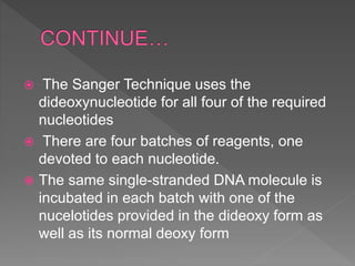  The Sanger Technique uses the
dideoxynucleotide for all four of the required
nucleotides
 There are four batches of reagents, one
devoted to each nucleotide.
 The same single-stranded DNA molecule is
incubated in each batch with one of the
nucelotides provided in the dideoxy form as
well as its normal deoxy form
 
