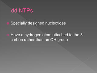 Specially designed nucleotides
 Have a hydrogen atom attached to the 3'
carbon rather than an OH group
 