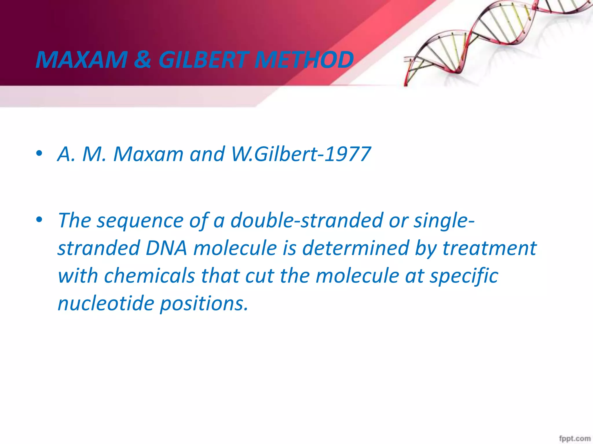 MAXAM & GILBERT METHOD
• A. M. Maxam and W.Gilbert-1977
• The sequence of a double-stranded or single-
stranded DNA molecule is determined by treatment
with chemicals that cut the molecule at specific
nucleotide positions.
 