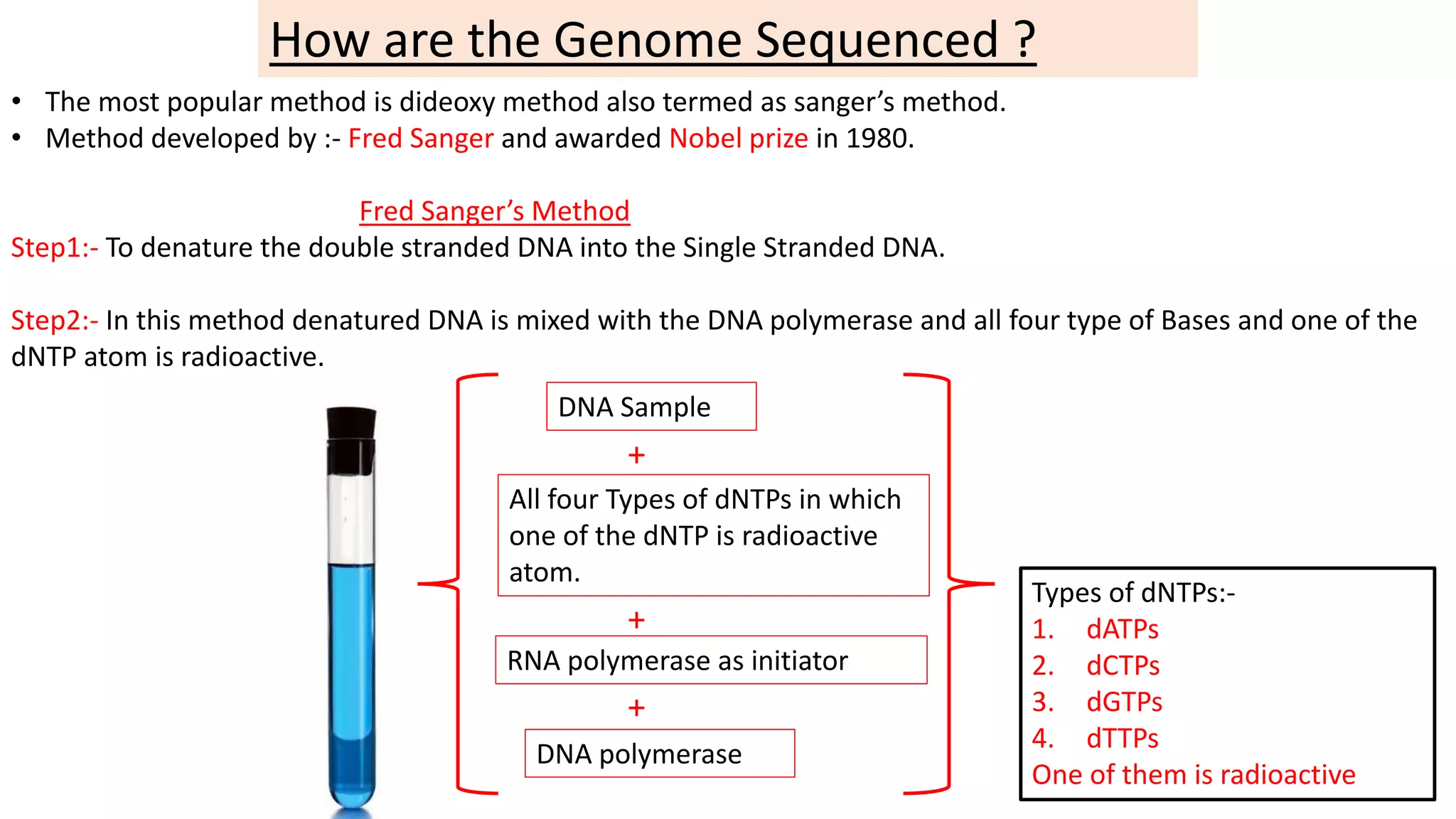 Sangers method for DNA Sequencing | PPTX