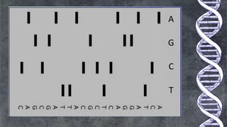 Sanger’s Method of Sequencing (1).pptx