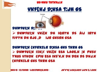 us=nku tutkxj.k

             vkf[kj D;ksa t:jh gS
                  us=nku

 dkWfuZ;k D;k gS
  dkWfuZ;k vk¡[k dh iqryh ds Åij iryh
 f>Yyh dh rjg ,d ijr gksrh gSA

 dkWfuZ;k {kfrxzLr D;ksa gks tkrh gS
  dkWfuZ;k izk;% vk¡[k esa laØe.k ;k pksV
 yxus vFkok cpiu esa iks’k.k dh deh ds dkj.k
 {kfrxzLr gks tkrh gSA

Uks=e~ iz/kkue~ losZfUnz;k.kke~    jk’Vªh; Loa;lsod la?k & lsok
 