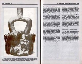 Sangirardi_1989_OIndioEAsPlantasAlucinogenas.pdf