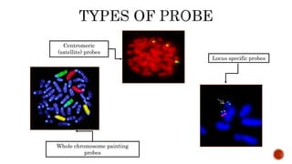 Centromeric
(satellite) probes
Locus specific probes
Whole chromosome painting
probes
 