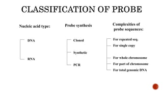 Nucleic acid type: Probe synthesis Complexities of
probe sequences:
DNA
RNA
Cloned
Synthetic
PCR
For repeated seq.
For single copy
For whole chromosome
For part of chromosome
For total genomic DNA
 