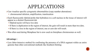Can visualize specific cytogenetic abnormalities (copy number aberrations)
 chromosomal deletion, amplification, translocation
Each fluorescently labeled probe that hybridizes to a cell nucleus in the tissue of interest will
appear as a distinct fluorescent dot
 Diploid nuclei will have two dots
 If there is duplication in the region of interest, the gain will result in more than two dots.
 If there is a loss in the region of interest, one or zero dot will result.
 Was often used during Metaphase but is now used on Interphase chromosomes as well.
Advantage :
 Less labor-intensive method for confirming the presence of a DNA segment within an entire
genome than other conventional methods like Southern blotting
 
