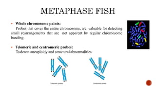  Whole chromosome paints:
Probes that cover the entire chromosome, are valuable for detecting
small rearrangements that are not apparent by regular chromosome
banding.
 Telomeric and centromeric probes:
Todetect aneuploidy and structural abnormalities
 
