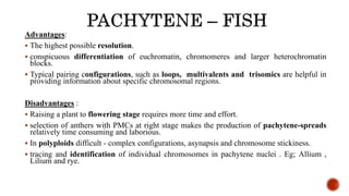 Advantages:
 The highest possible resolution.
 conspicuous differentiation of euchromatin, chromomeres and larger heterochromatin
blocks.
 Typical pairing configurations, such as loops, multivalents and trisomics are helpful in
providing information about specific chromosomal regions.
Disadvantages :
 Raising a plant to flowering stage requires more time and effort.
 selection of anthers with PMCs at right stage makes the production of pachytene-spreads
relatively time consuming and laborious.
 In polyploids difficult - complex configurations, asynapsis and chromosome stickiness.
 tracing and identification of individual chromosomes in pachytene nuclei . Eg; Allium ,
Lilium and rye.
 