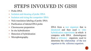  Probe DNA
 Isolation and shearing of probe DNA
 Isolation and sizing the competitor DNA
 Nick translation labeling of probe DNA
 Purification of labeled DNA probe
 Chromosome preparation
 In situ hybridization
 Detection of hybridization
 Microphotography.
DNA from a test organism that is
denatured and then used in vitro
hybridization experiments in which it
competes with DNA (homologous)
from a reference organism; used to
determine the relationship of the test
organism to the reference organism.
 