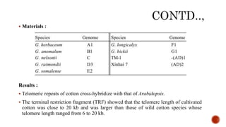  Materials :
Results :
 Telomeric repeats of cotton cross-hybridize with that of Arabidopsis.
 The terminal restriction fragment (TRF) showed that the telomere length of cultivated
cotton was close to 20 kb and was larger than those of wild cotton species whose
telomere length ranged from 6 to 20 kb.
 