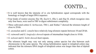  It is well known that the intensity of in situ hybridization signal corresponds with the
homology or length of target DNA sequence.
 Four kinds of restrict enzyme Hae III, Sau3A I, Hha I, and Hap II, which recognize sites
only four bases, were used in TRF to digest subtelomere completely.
 Three cultivated cotton G. herbaceum, TM-1, and Xinhai 7 showed the telomere length of
close to 20 kb.
 G. anomalum and G. somalin have relatively long telomere repeats between 10 and 20 kb.
 G. raimondii and G. longicalyx showed repeats of intermediate length close to 10 kb.
 G. nelsonii and G. bickii showed short repeats.
 The telomere length may vary not only among cotton species but also between each
chromosome in the same species. The strong hybridization signal in tetraploid cotton may
indicated that the telomere DNA length of tetraploid cotton was longer than that of diploid
cotton.
 
