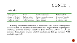 Materials :
Here they described the application of methods for GISH analysis of intergeneric
Brassica hybrids for the characterization of backcross progeny from B. napus hybrids
exhibiting nematode resistance introduced from Raphanus sativus and Phoma
resistance from Sinapis arvensis (charlock mustard) and Coincya monensis (Wild
mustard) respectively.
 
