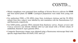  Mitotic metaphases were generated from seedlings of diverse Brassica cultivars for FISH
and from hybrid plants for GISH. Cytological preparations were made from young root
tips.
 For multicolour FISH, a 25S rDNA clone from Arabidopsis thaliana and the 5S rDNA
subunit from Beta vulgaris were labelled by nick translation with the fluorochromes Cy3
and fluorescein, respectively.
 For GISH probes, genomic DNA extracted from Raphanus sativus, Sinapis arvensis and
Coincya monensis was directly labelled with Cy3 and mixed with a 50-fold volume of
unlabelled, sheared B. napus genomic DNA .
 Composite fluorescence images were obtained using a fluorescence microscope fitted with
specific single-band filters for DAPI, FITC and Cy3.
 