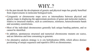  In the past decade the development of genetic and physical maps has greatly benefited
from improvements in molecular biological tools.
 Cytogenetic or chromosome maps serve as intermediates between physical and
genetic maps in displaying the approximate positions of genes and molecular markers,
relative to structural markers, such as centromeres, telomeres, heterochromatin bands
and secondary constrictions.
 Most of the individual chromosomes generally lack unique banding patterns, and so
cannot be identified.
 In addition, spontaneous structural and numerical chromosome mutants are scarce,
and are laborious and time consuming to generate.
 An alternative analysis strategy is in situ hybridization (ISH), which allows distinct
positioning of unique sequences and repetitive DNA on chromosomes.
 