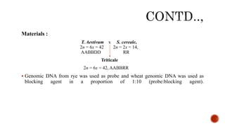 Materials :
T. Aestivum x S. cereale,
2n = 6x = 42 2n = 2x = 14,
AABBDD RR
Triticale
2n = 6x = 42, AABBRR
 Genomic DNA from rye was used as probe and wheat genomic DNA was used as
blocking agent in a proportion of 1:10 (probe:blocking agent).
 