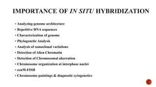  Analyzing genome architecture
 Repetitive DNA sequences
 Characterization of genome
 Phylogenetic Analysis
 Analysis of somaclonal variations
 Detection of Alien Chromatin
 Detection of Chromosomal aberration
 Chromosome organization at interphase nuclei
 cenM-FISH
 Chromosome paintings & diagnostic cytogenetics
 