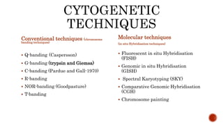 CYTOGENETIC
TECHNIQUES
Conventional techniques (chromosome
banding techniques)
 Q-banding (Caspersson)
 G-banding (trypsin and Giemsa)
 C-banding (Pardue and Gall-1970)
 R-banding
 NOR-banding (Goodpasture)
 T-banding
Molecular techniques
(in situ Hybridisation techniques)
 Fluorescent in situ Hybridisation
(FISH)
 Genomic in situ Hybridisation
(GISH)
 Spectral Karyotyping (SKY)
 Comparative Genomic Hybridisation
(CGH)
 Chromosome painting
 
