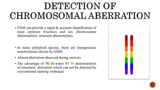 53
 FISH can provide a rapid & accurate identification of
most common trisomics and sex chromosomes
abnormalities, structure abnormalities.
 In many polyploid species, there are intergenomic
translocations shown by GISH.
 Almost aberration observed during meiosis
 The advantage of Multicolour FISH demonstration
of structural aberration which can not be detected by
conventional staining technique
 
