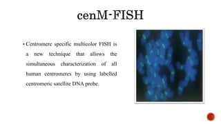55
 Centromere specific multicolor FISH is
a new technique that allows the
simultaneous characterization of all
human centromeres by using labelled
centromeric satellite DNA probe.
 